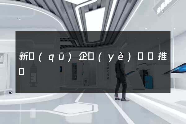 新區(qū)企業(yè)網絡推廣