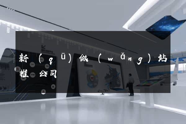 新區(qū)做網(wǎng)站推廣公司