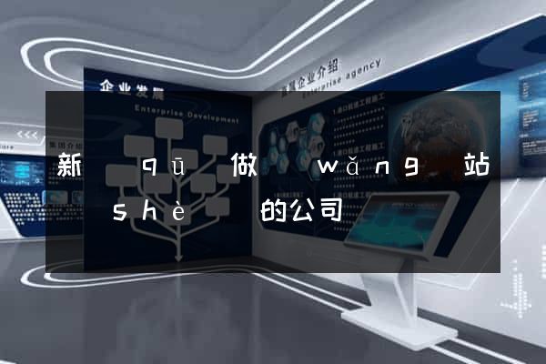 新區(qū)做網(wǎng)站設(shè)計的公司