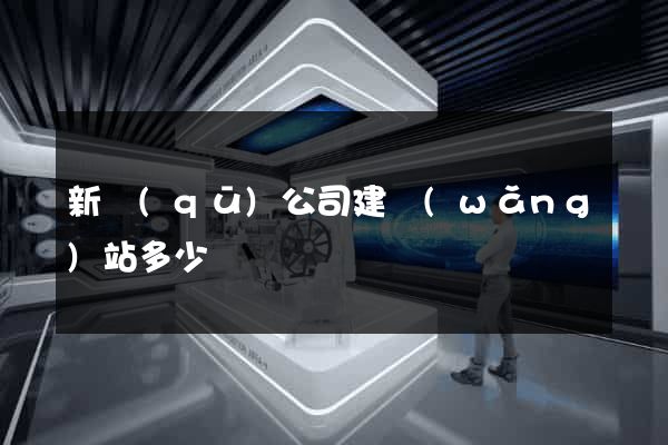 新區(qū)公司建網(wǎng)站多少錢