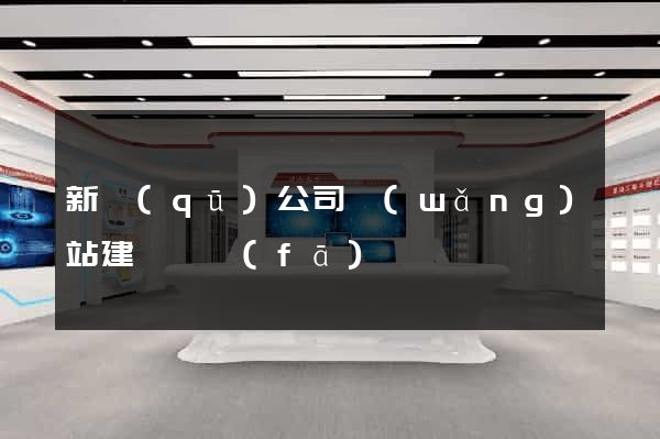 新區(qū)公司網(wǎng)站建設開發(fā)