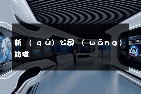 新區(qū)公司網(wǎng)站推廣