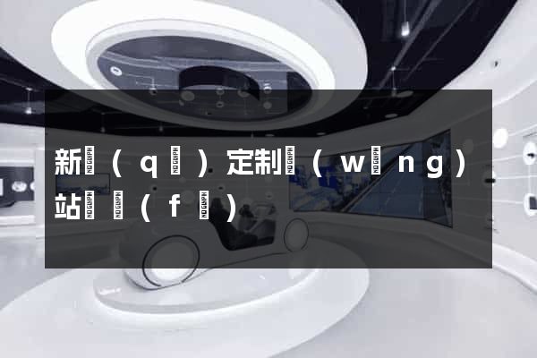 新區(qū)定制網(wǎng)站開發(fā)