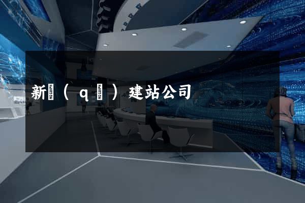 新區(qū)建站公司
