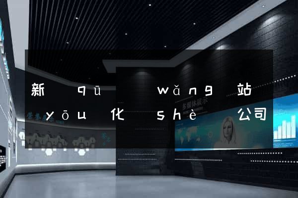 新區(qū)網(wǎng)站優(yōu)化設(shè)計公司