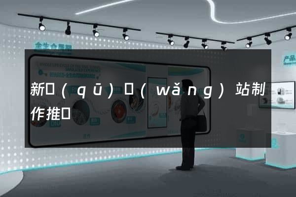 新區(qū)網(wǎng)站制作推廣