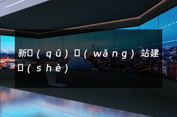 新區(qū)網(wǎng)站建設(shè)