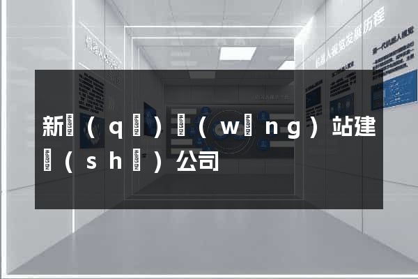 新區(qū)網(wǎng)站建設(shè)公司