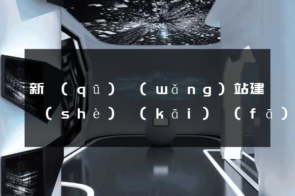 新區(qū)網(wǎng)站建設(shè)開(kāi)發(fā)