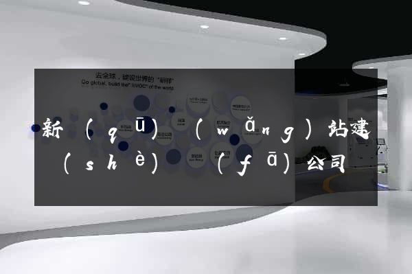 新區(qū)網(wǎng)站建設(shè)開發(fā)公司