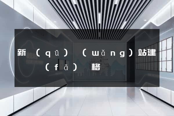 新區(qū)網(wǎng)站建設開發(fā)價格