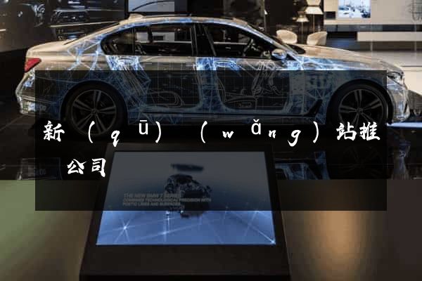 新區(qū)網(wǎng)站推廣公司