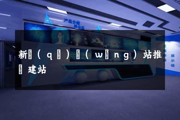 新區(qū)網(wǎng)站推廣建站