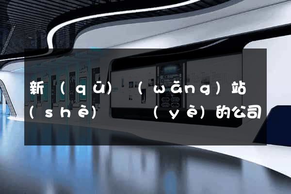 新區(qū)網(wǎng)站設(shè)計專業(yè)的公司