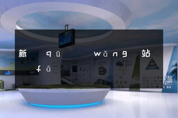 新區(qū)網(wǎng)站開發(fā)