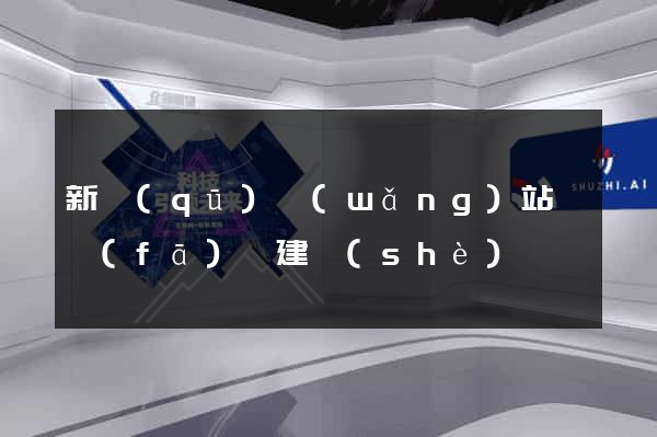 新區(qū)網(wǎng)站開發(fā)與建設(shè)