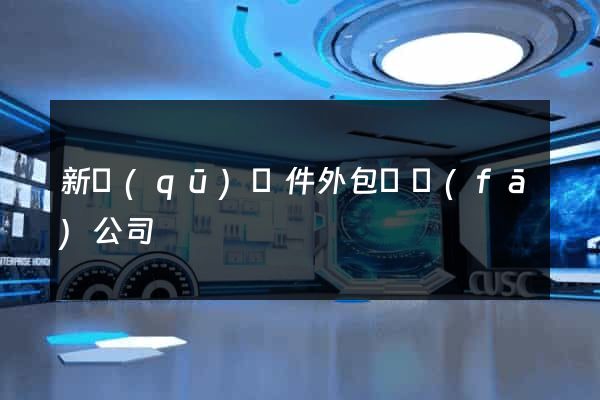 新區(qū)軟件外包開發(fā)公司