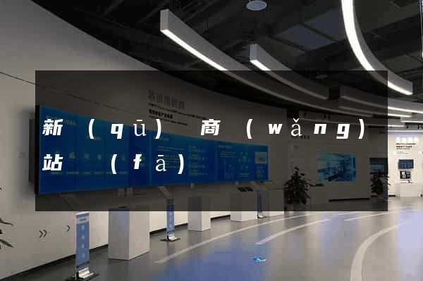 新區(qū)電商網(wǎng)站開發(fā)