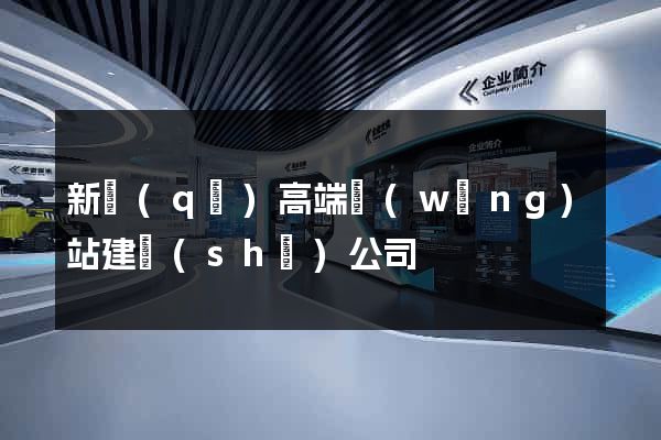 新區(qū)高端網(wǎng)站建設(shè)公司