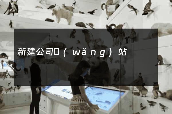 新建公司網(wǎng)站