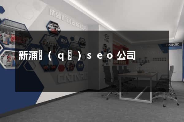 新浦區(qū)seo公司