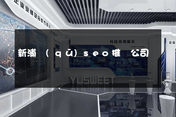 新浦區(qū)seo推廣公司