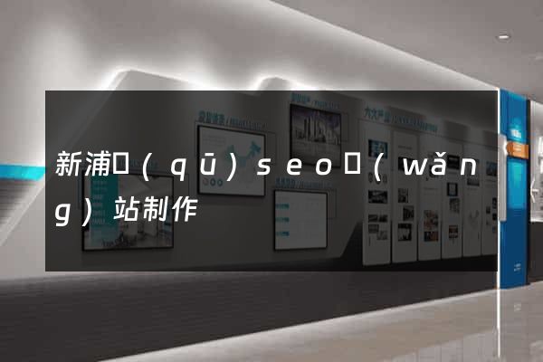 新浦區(qū)seo網(wǎng)站制作