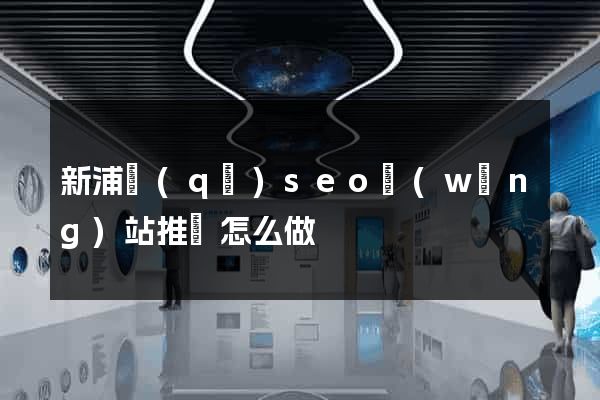 新浦區(qū)seo網(wǎng)站推廣怎么做
