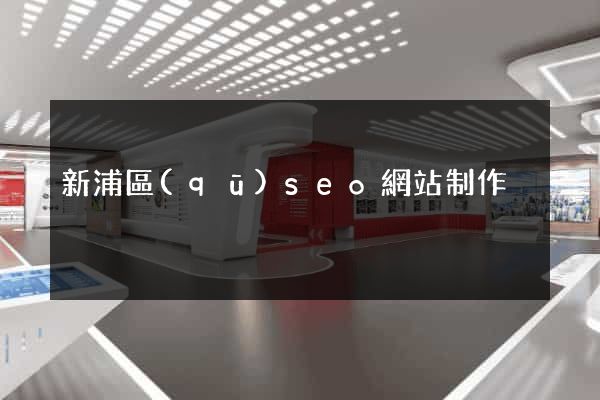 新浦區(qū)seo網站制作