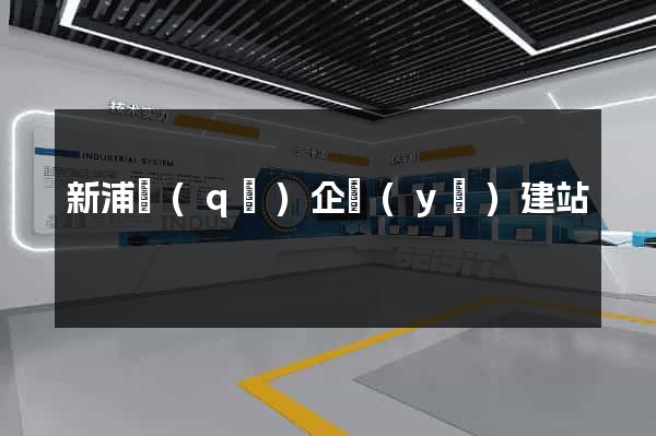 新浦區(qū)企業(yè)建站