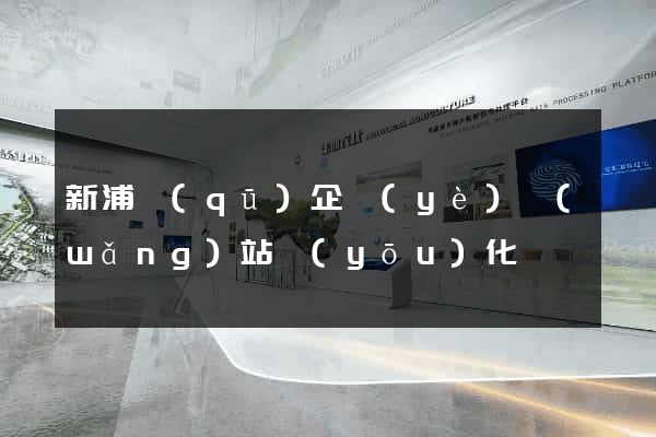 新浦區(qū)企業(yè)網(wǎng)站優(yōu)化