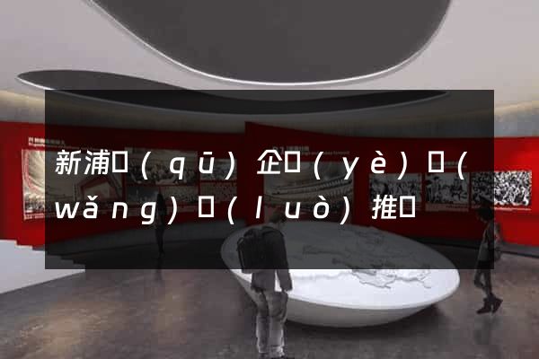 新浦區(qū)企業(yè)網(wǎng)絡(luò)推廣
