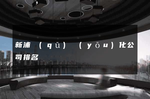 新浦區(qū)優(yōu)化公司排名