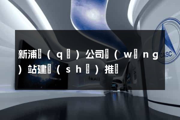 新浦區(qū)公司網(wǎng)站建設(shè)推廣