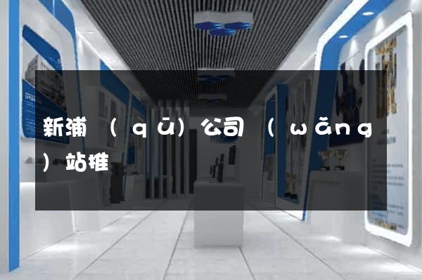 新浦區(qū)公司網(wǎng)站推廣