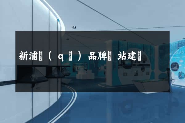 新浦區(qū)品牌網站建設