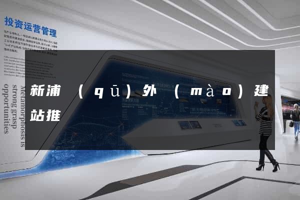 新浦區(qū)外貿(mào)建站推廣