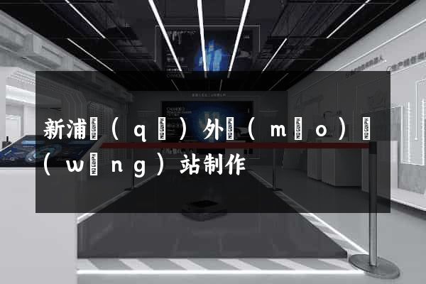 新浦區(qū)外貿(mào)網(wǎng)站制作