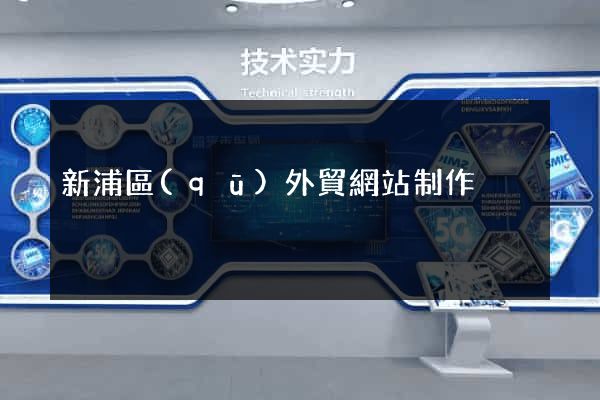 新浦區(qū)外貿網站制作