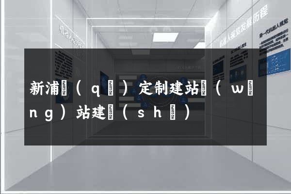 新浦區(qū)定制建站網(wǎng)站建設(shè)
