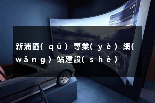 新浦區(qū)專業(yè)網(wǎng)站建設(shè)