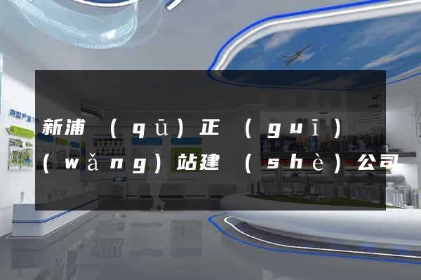 新浦區(qū)正規(guī)網(wǎng)站建設(shè)公司