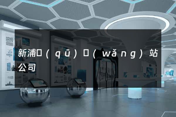 新浦區(qū)網(wǎng)站公司