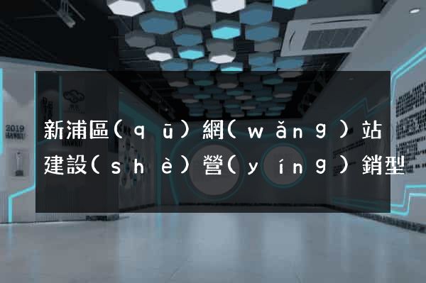 新浦區(qū)網(wǎng)站建設(shè)營(yíng)銷型