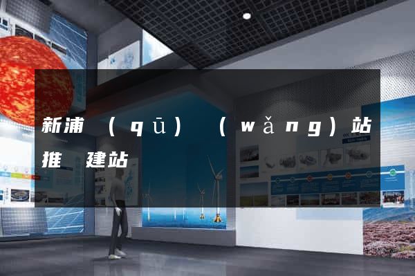 新浦區(qū)網(wǎng)站推廣建站