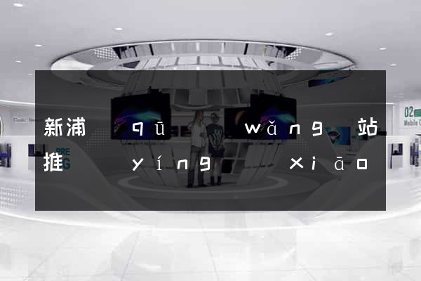 新浦區(qū)網(wǎng)站推廣營(yíng)銷(xiāo)