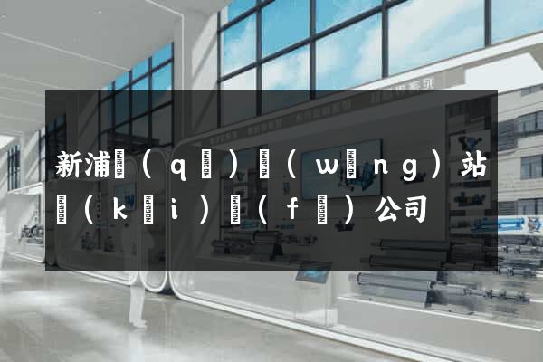 新浦區(qū)網(wǎng)站開(kāi)發(fā)公司