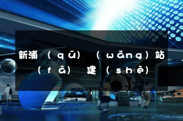 新浦區(qū)網(wǎng)站開發(fā)與建設(shè)