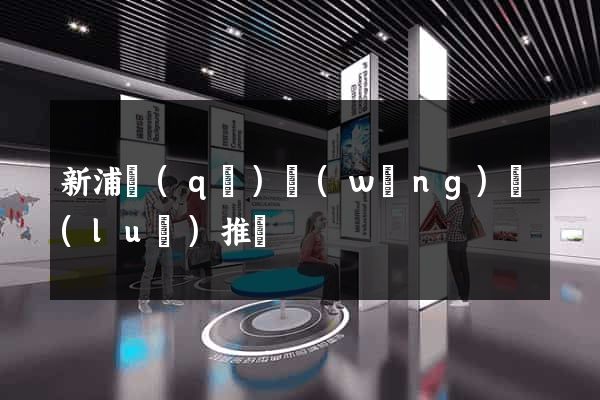 新浦區(qū)網(wǎng)絡(luò)推廣