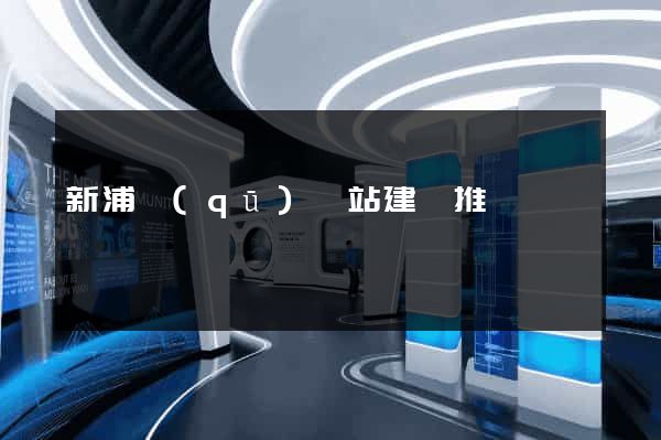 新浦區(qū)網站建設推廣